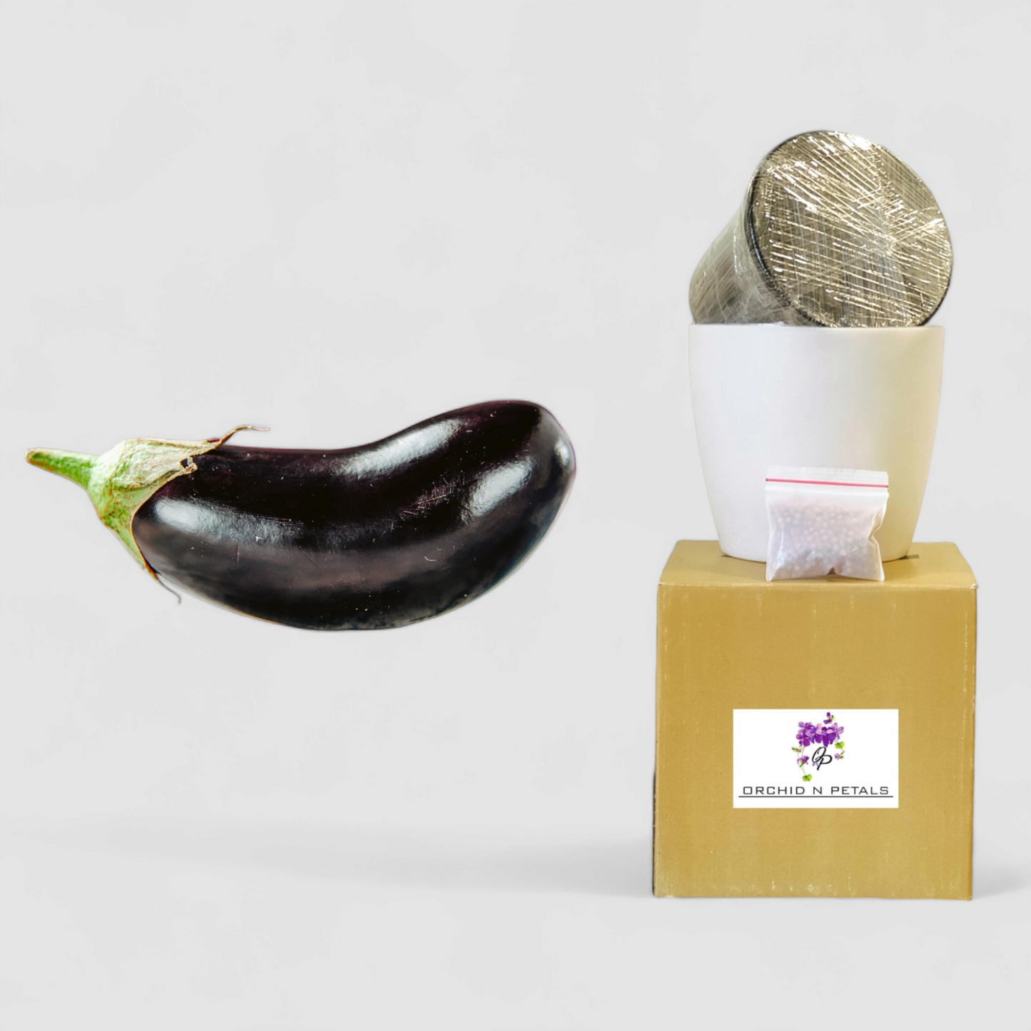 Brinjal (Gardening DIY Kit)