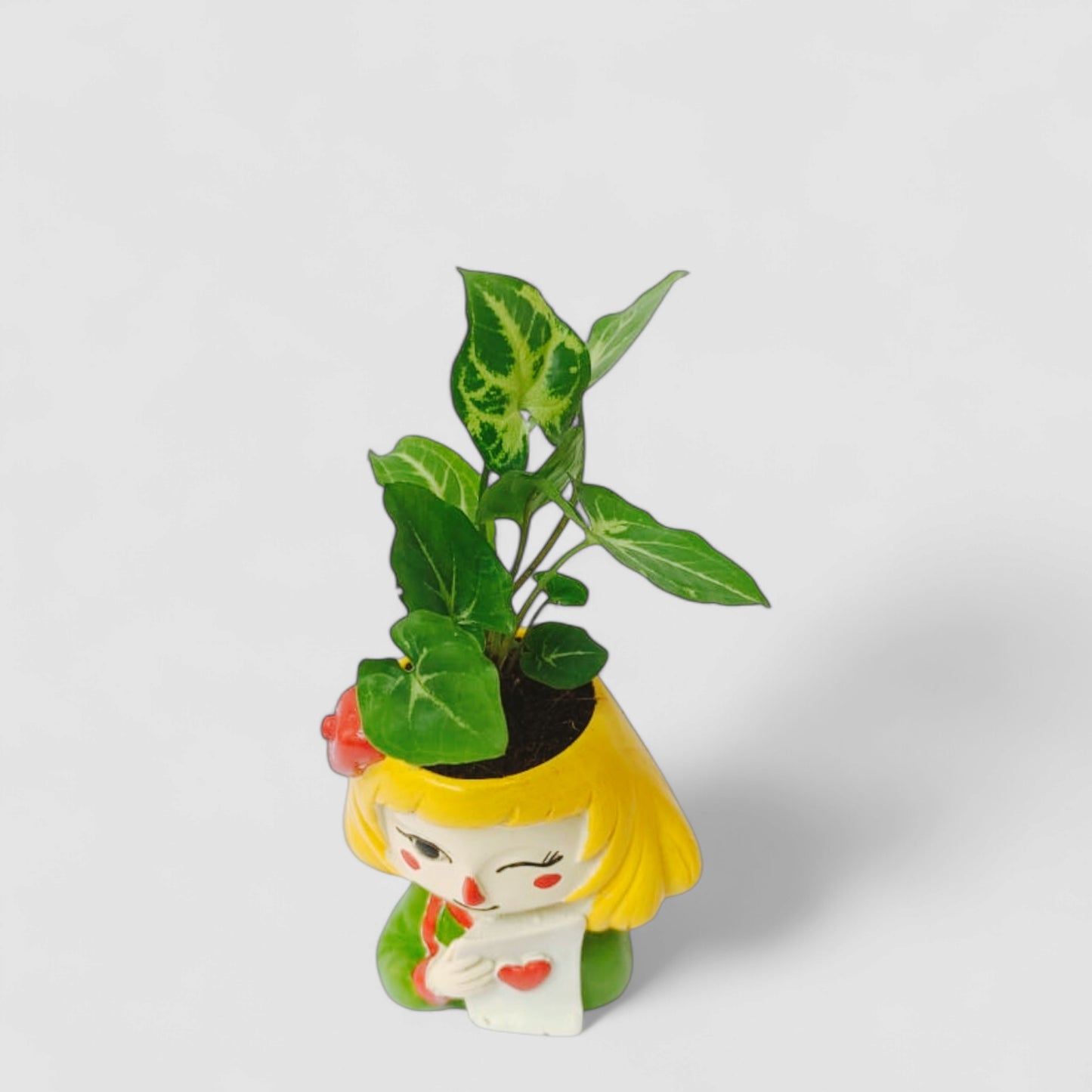 Cute Female Resin Doll Planter with Green Syngonium Plant - ONPD010