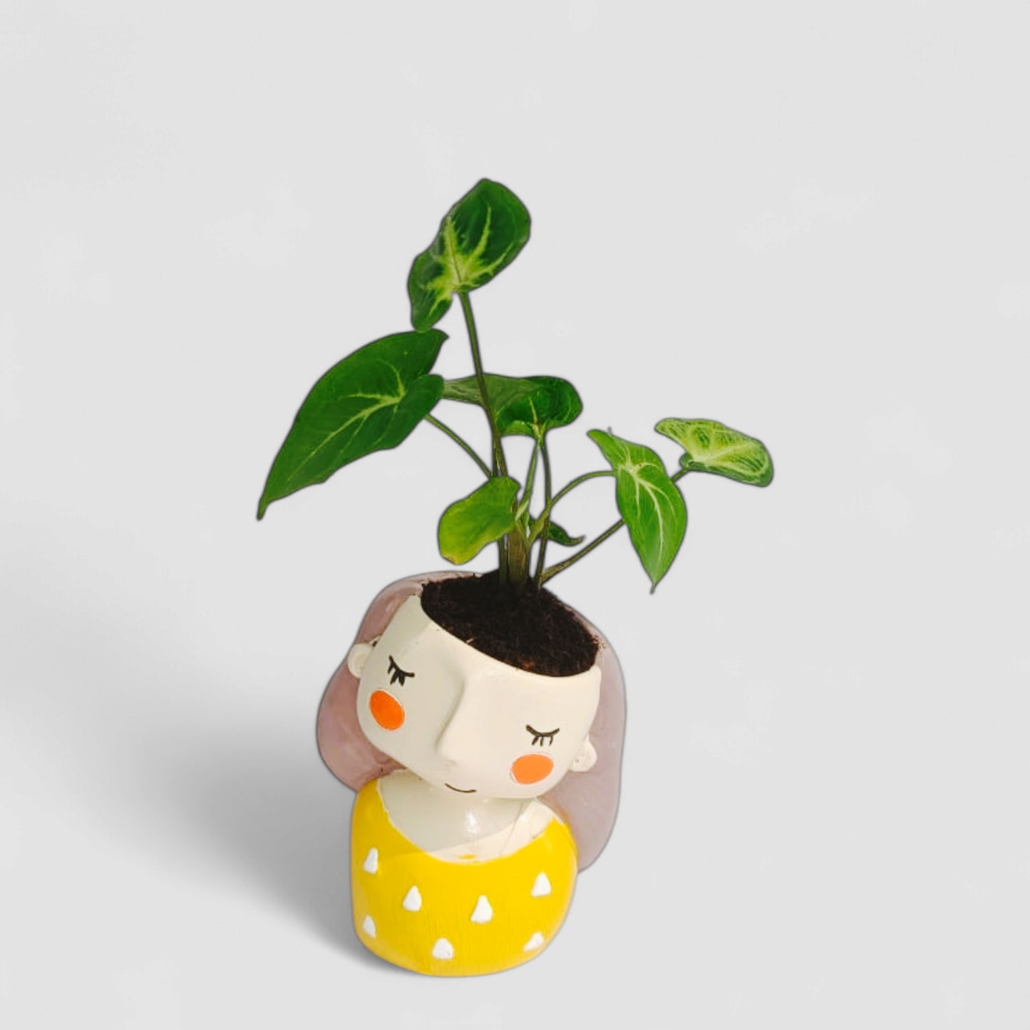 Cute Female with Yellow Dress Resin Doll Planter with Green Syngonium Plant - ONPD006
