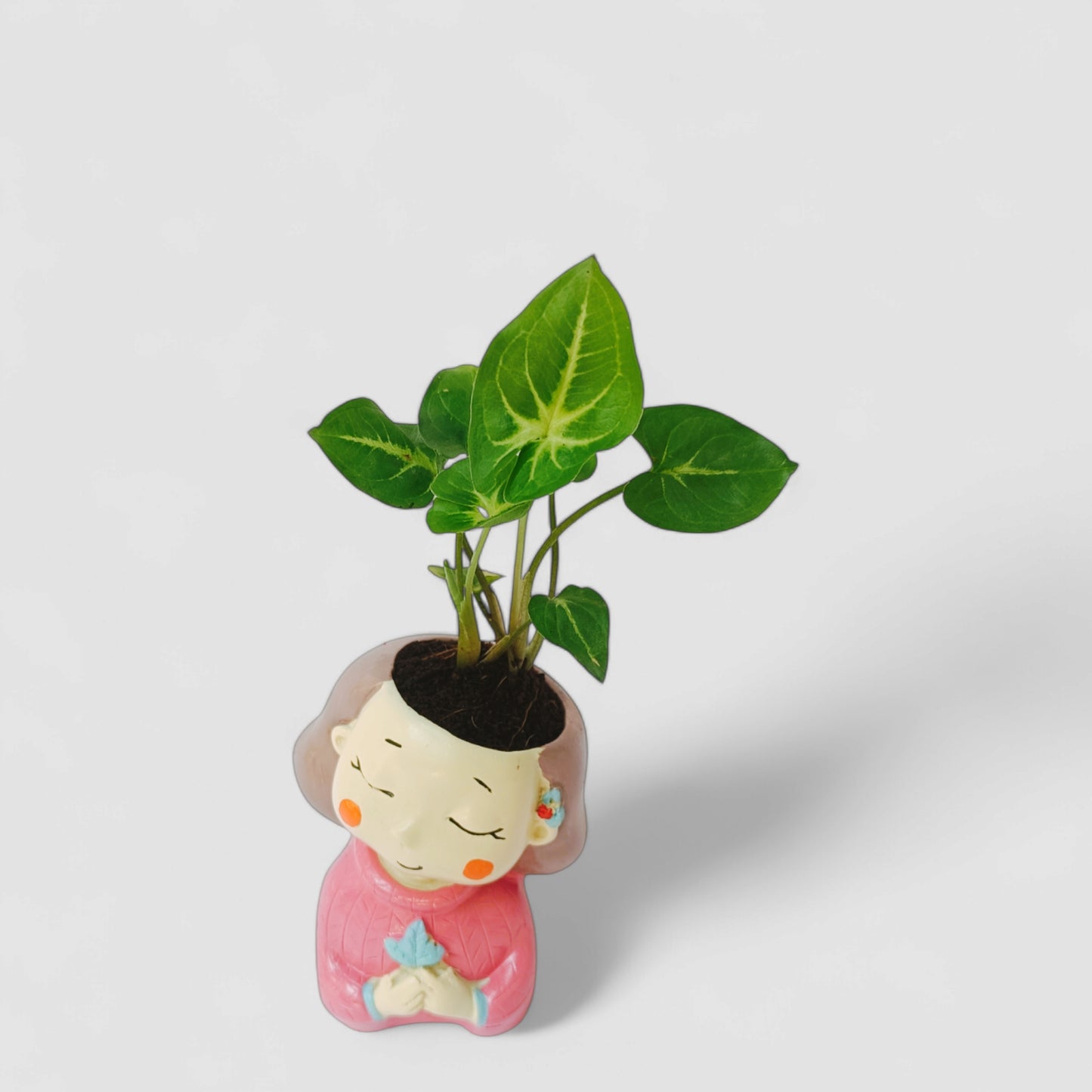 Cute Female with Pink Dress Resin Doll Planter with Green Syngonium Plant - ONPD012
