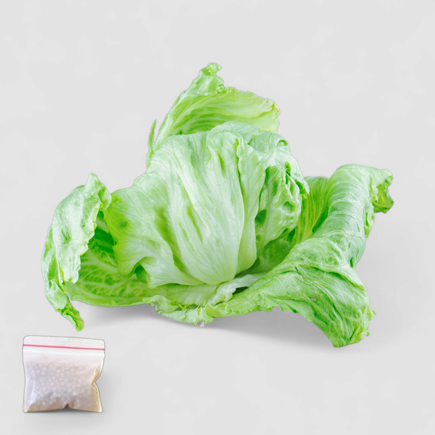 Lettuce Iceberg (Seeds)