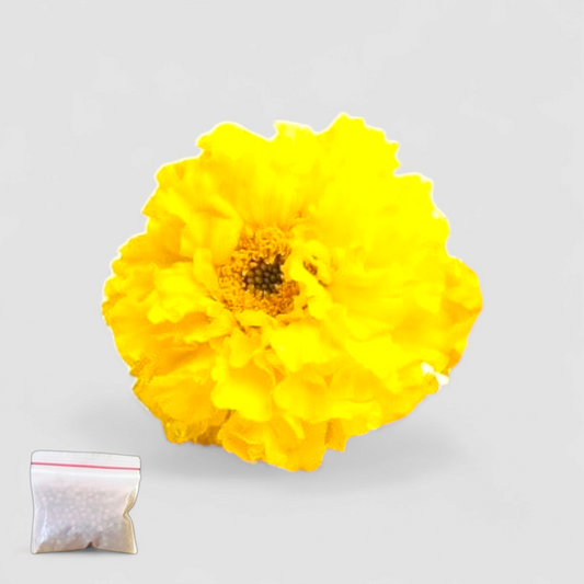 Marigold Yellow (Seeds)