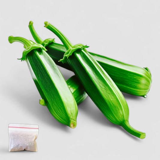 Okra (Seeds)
