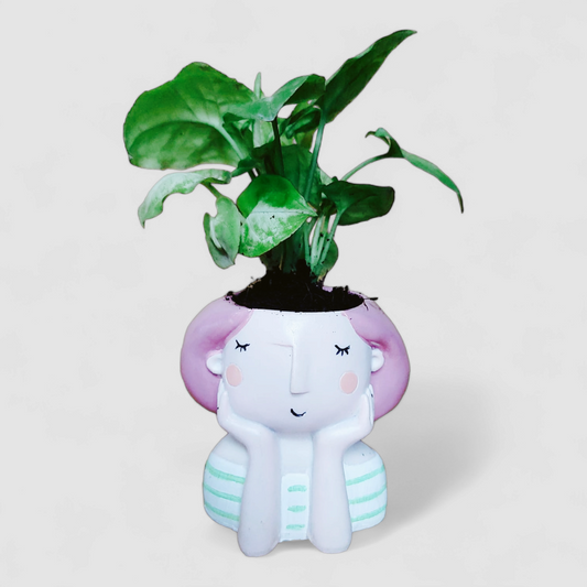 Cute Female Resin Doll Planter with Green Syngonium Plant - ONPD001