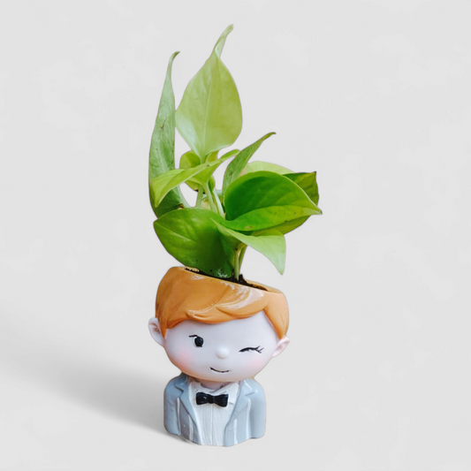 Cute Male Resin Doll Planter with Golden Money Plant - ONPD005