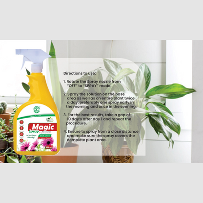 Magic Spray