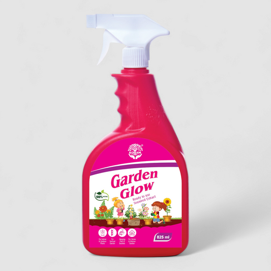 Garden Glow