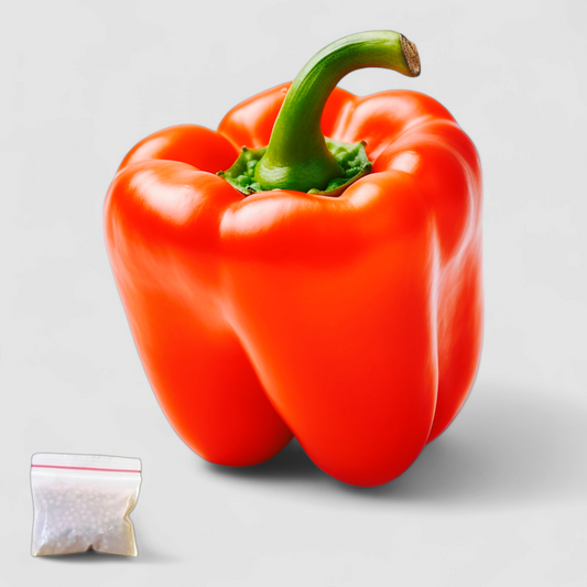 Red Capsicum (Seeds)