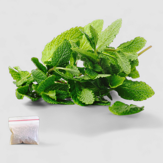 Tulsi (Seeds)