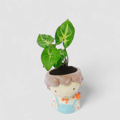 Cute Male Boy with Bow Resin Doll Planter with Green Syngonium Plant - ONPD009