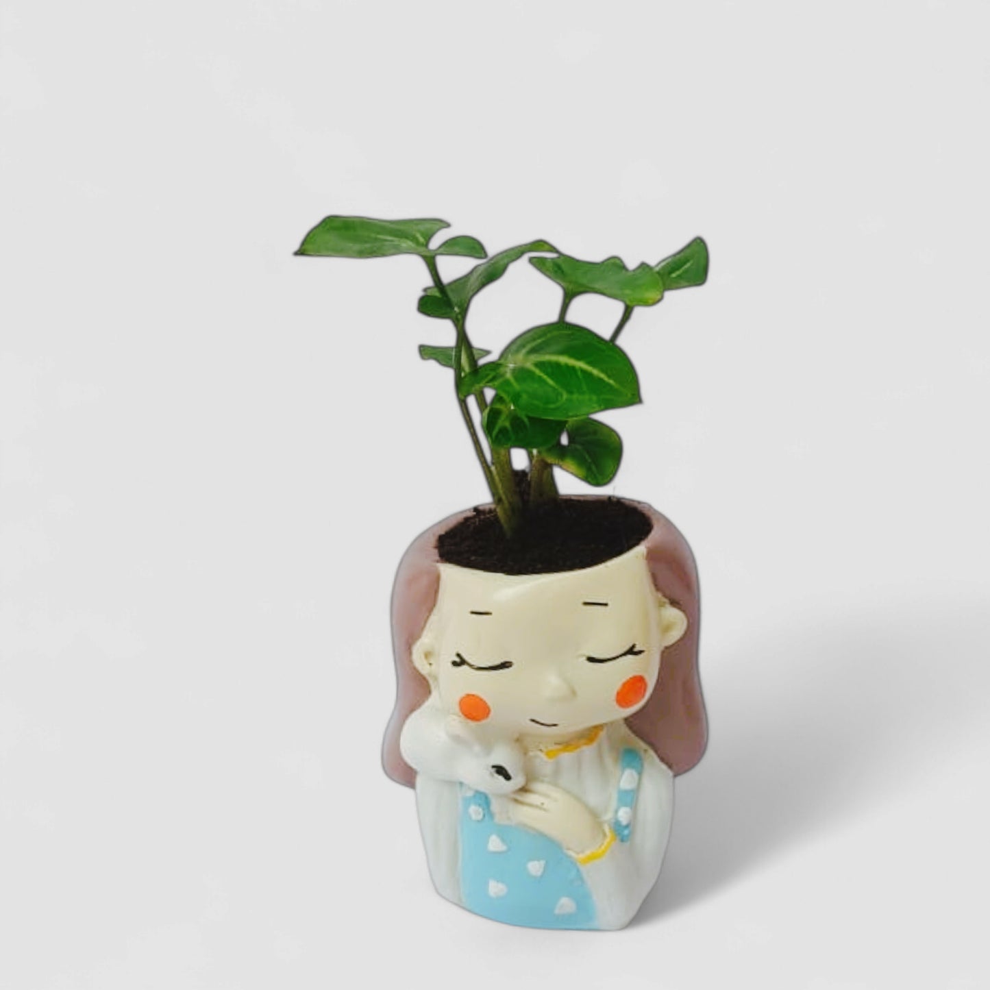 Cute Female with Rabbit Resin Doll Planter with Green Syngonium Plant - ONPD008