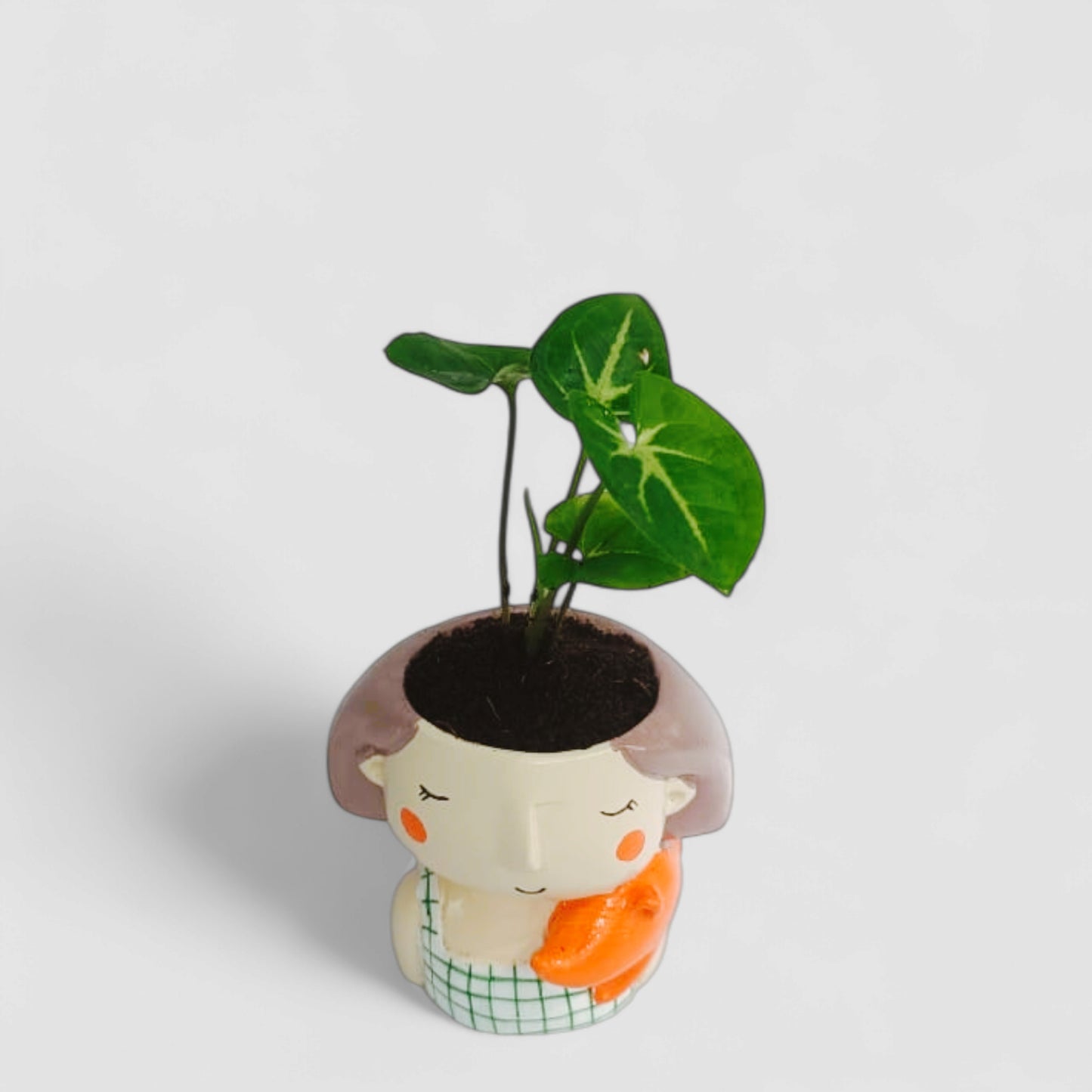 Cute Female with Dog Hugging Resin Doll Planter with Green Syngonium Plant - ONPD007